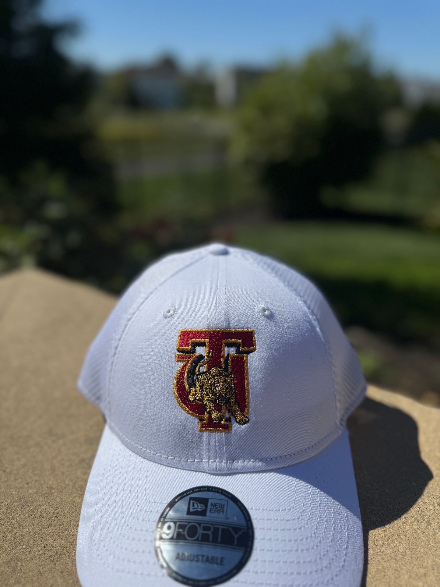 Tuskegee Mesh Snapback