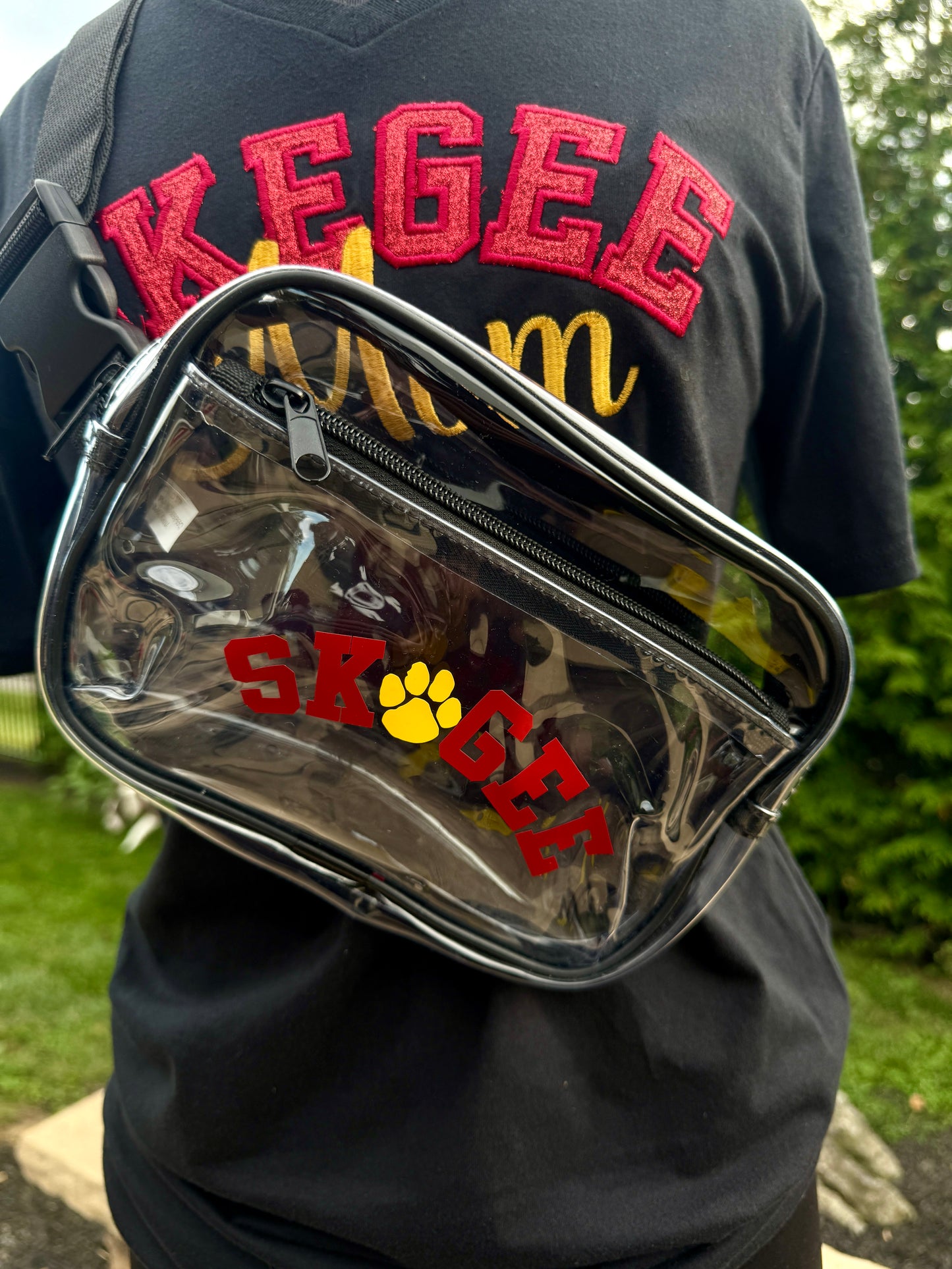 Clear Stadium Bag