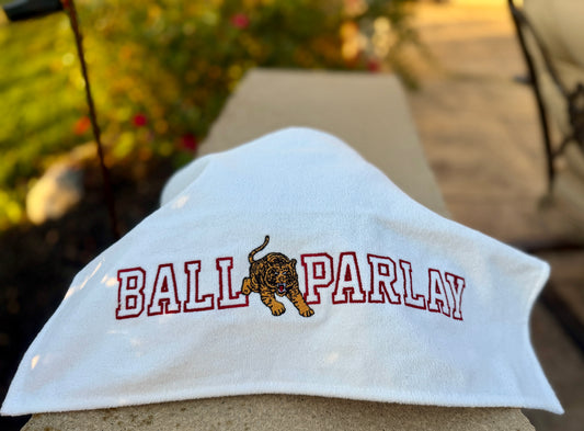 Game Day Rally Towel